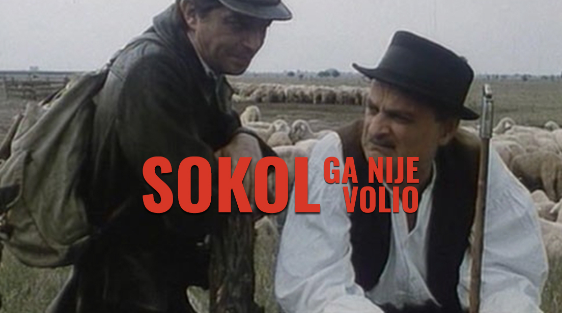 Sokol ga nije volio