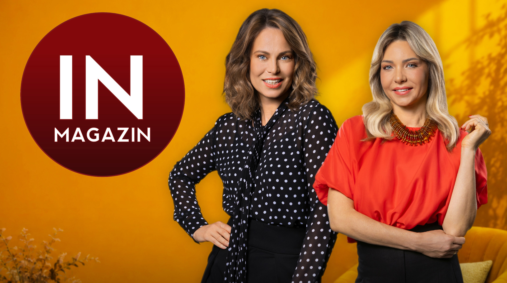 IN magazin 