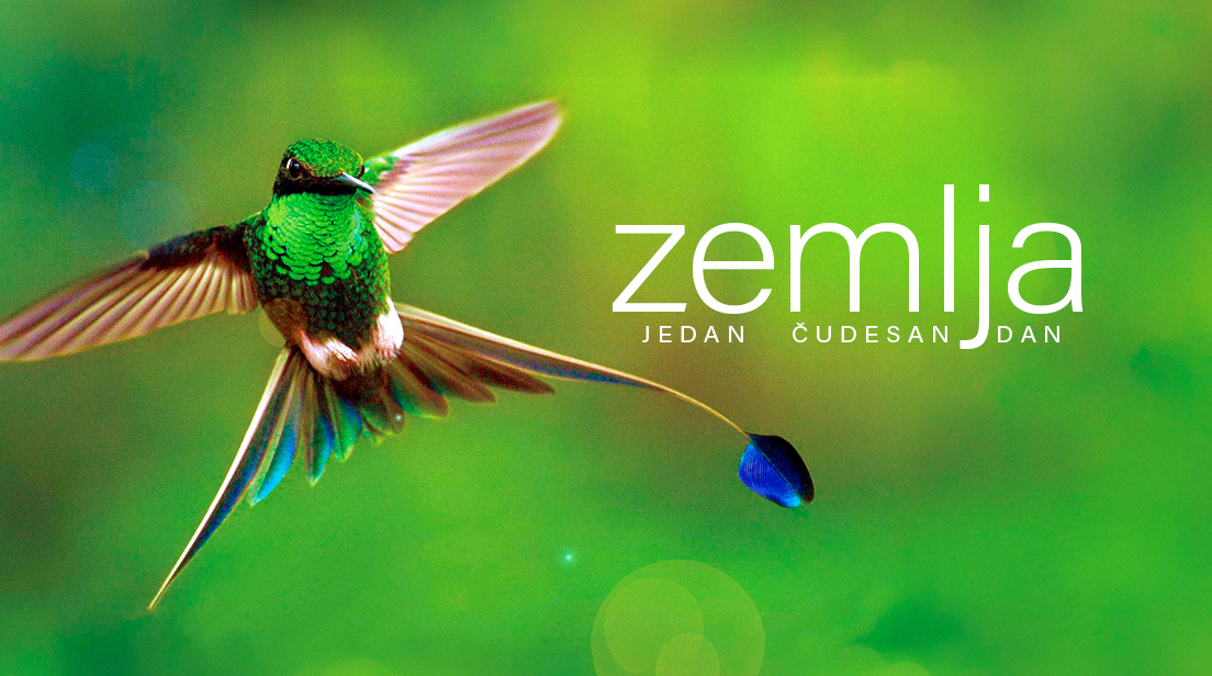 Zemlja: Jedan čudesan dan