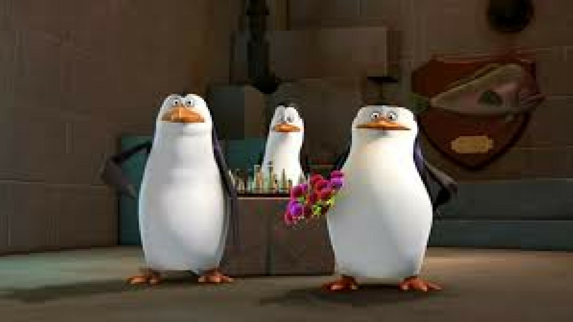 Pingvini s Madagaskara